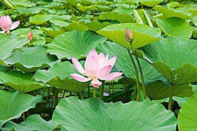 科幻恐怖FPS《量子误差》PS4版取消 未来将登陆PC